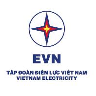 Налажено сотрудничество с  с крупнейшей государственной энергетической компанией Вьетнама Vietnam Electricity (EVN).